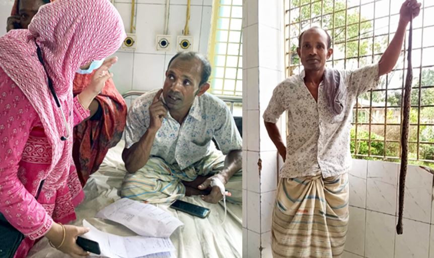 কামড় দেওয়া রাসেল ভাইপার সাপ নিয়েই হাসপাতালে হাজির কৃষক