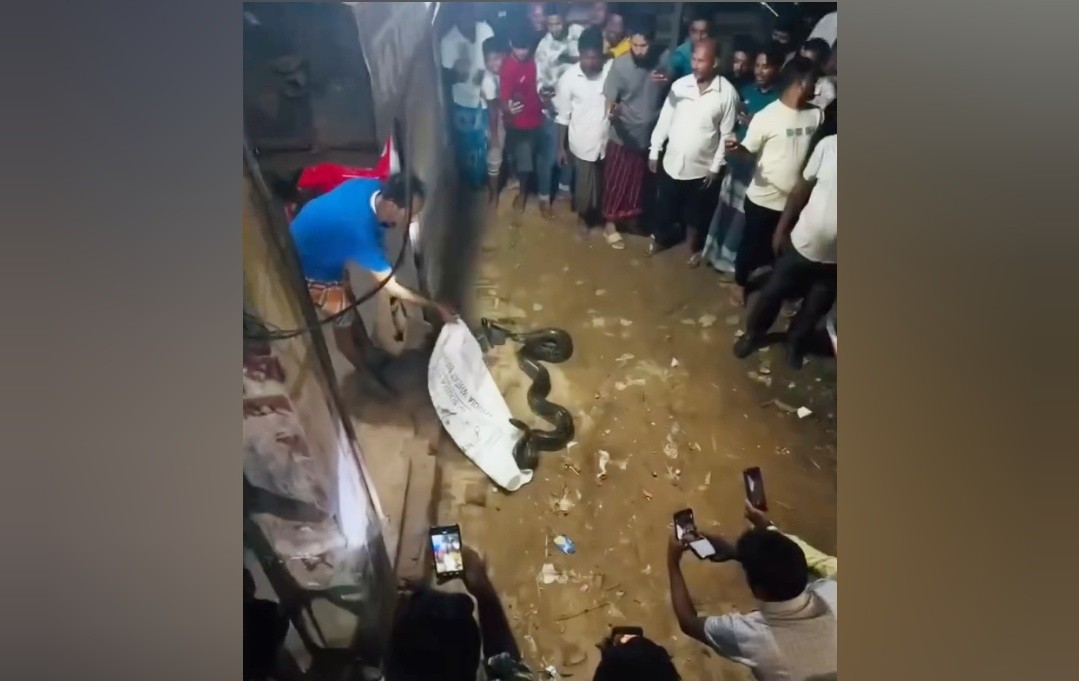 কুমিল্লায় ১২ ফুট লম্বা অজগর বস্তায় করে বাড়িতে নিয়ে গেল যুবক