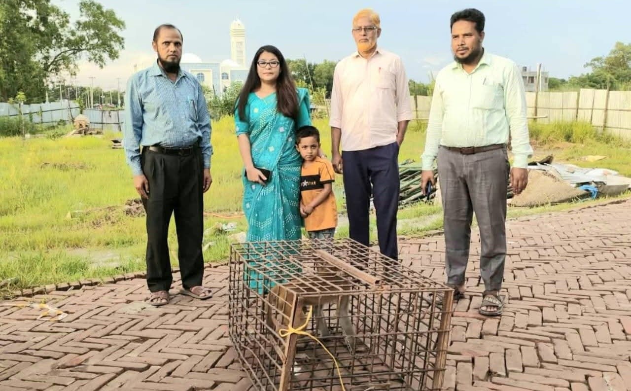 কুমিল্লায় বসতবাড়ি থেকে বানর উদ্ধার