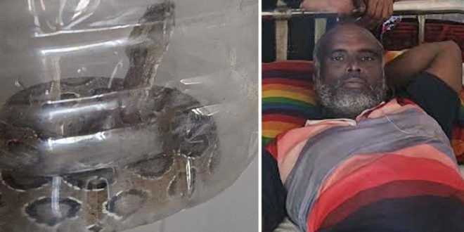 ছোবল খেয়ে জীবিত রাসেলস ভাইপার নিয়ে হাসপাতালে কৃষক